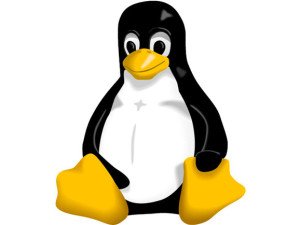 Kursus Administrator Jaringan Linux Jogja