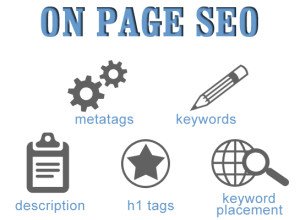 kursus private seo on page